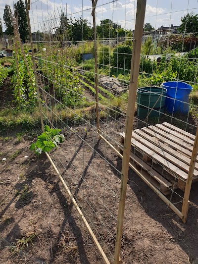 Loxford Lane Allotments